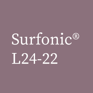 Surfonic L24-22